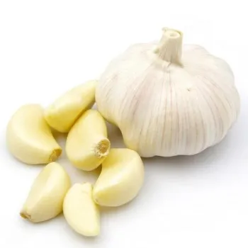 Natural Garlic 